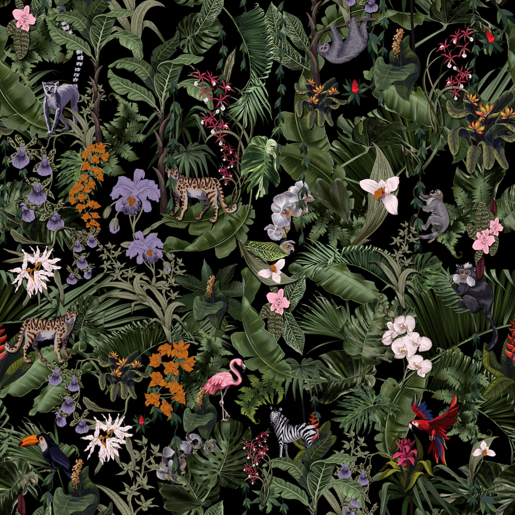 Tropics