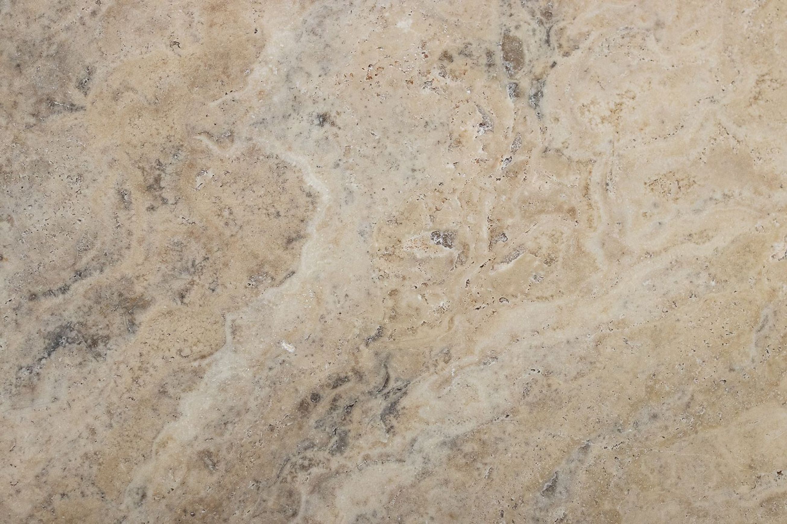 Sparta Latte Travertine Collection | Stone