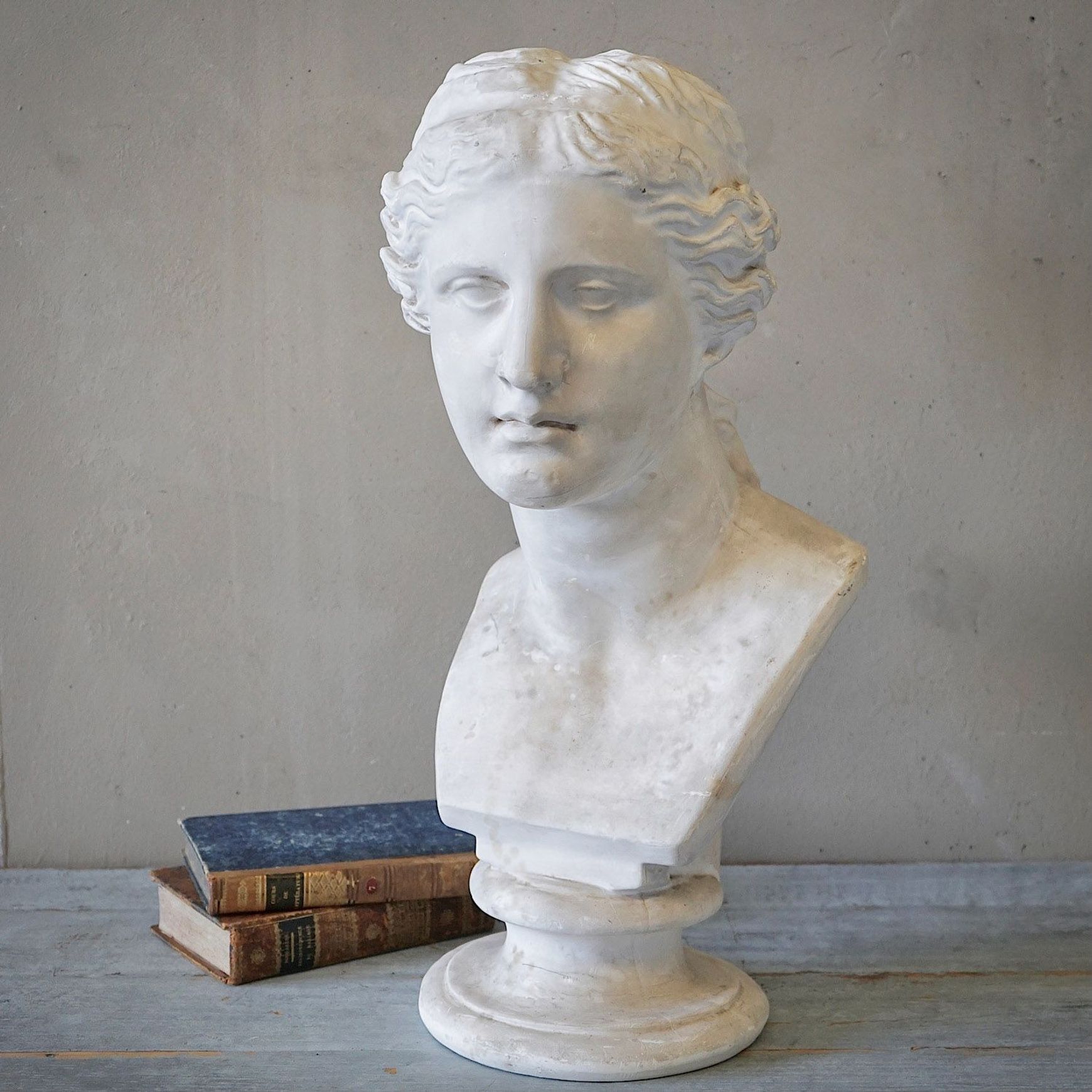 French Plaster Bust of Venus de Milo