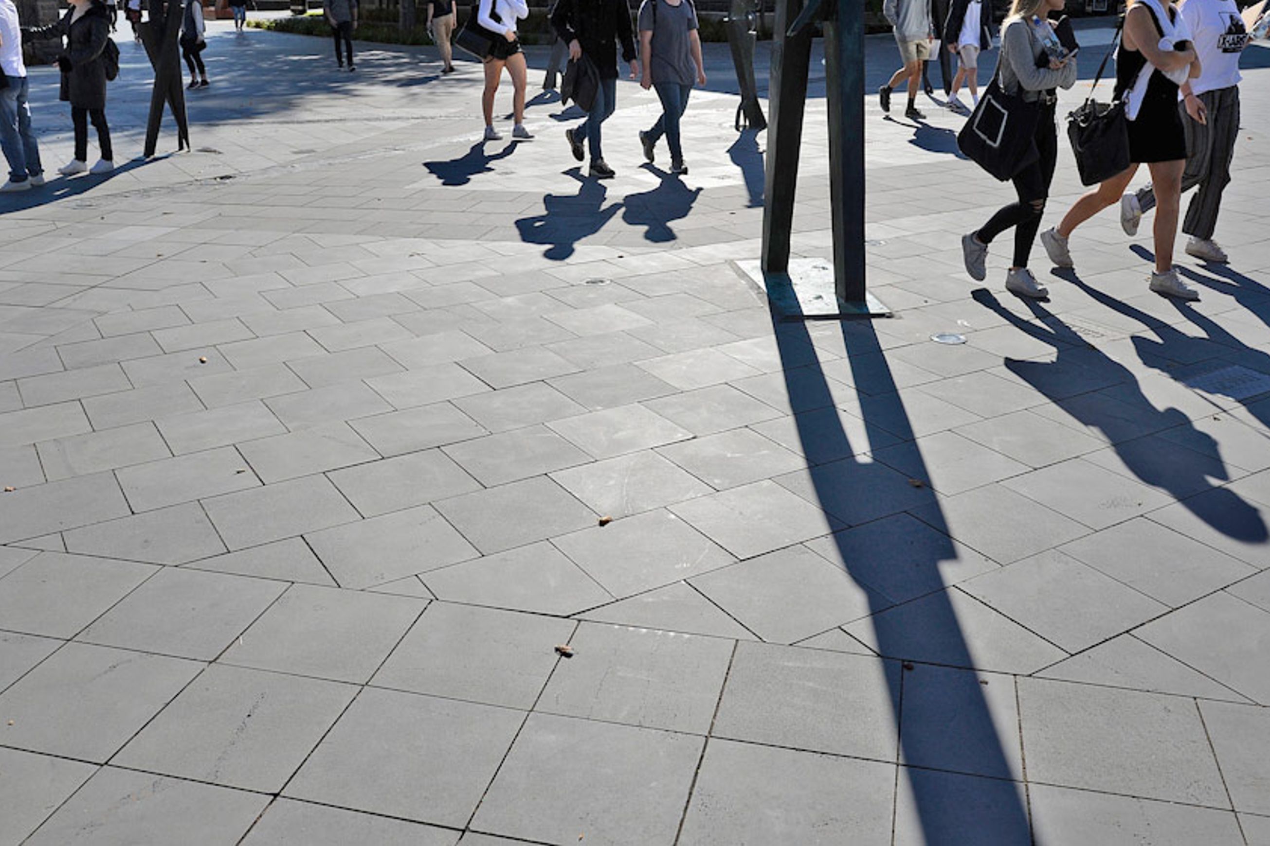 Commercial Bluestone Paving