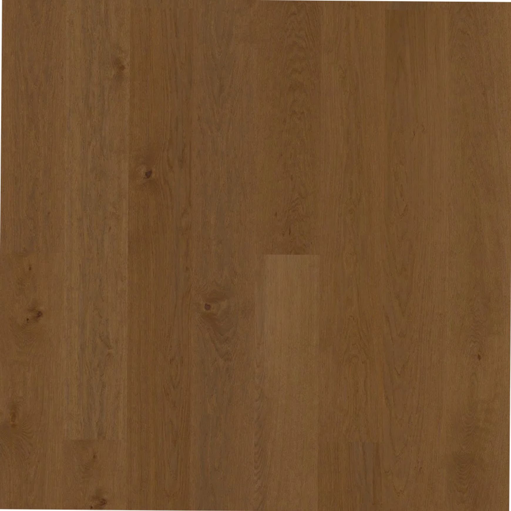 Bjelin XL 206 Shadow Brown | Nature Grade