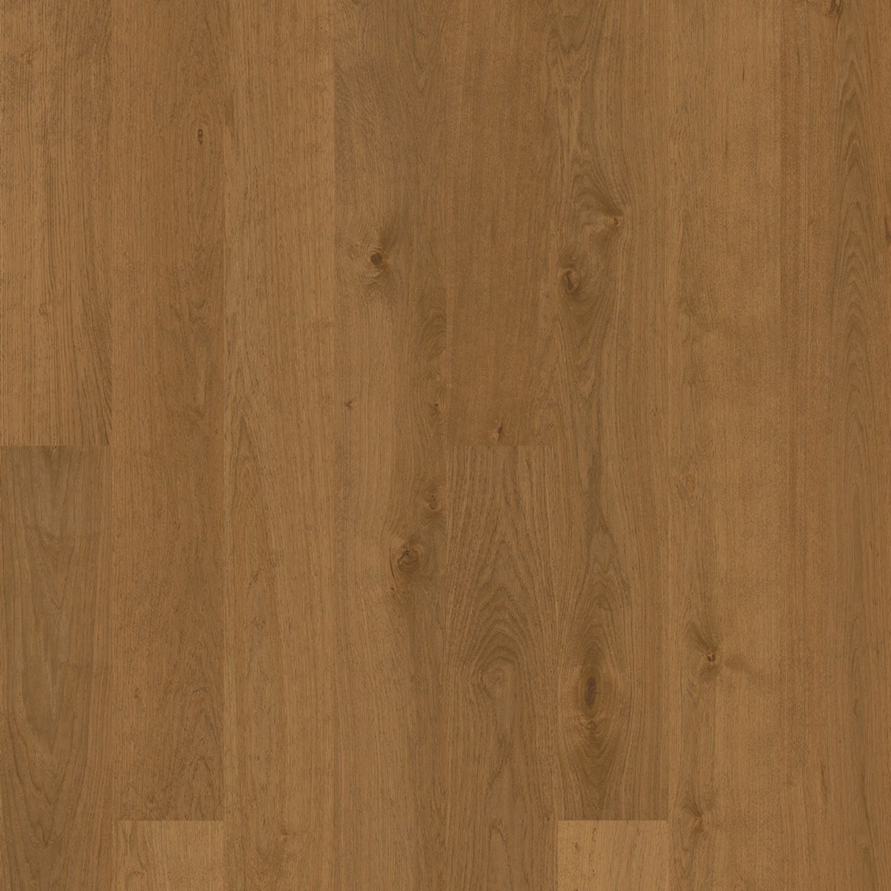 Bjelin L 180 Terra Brown | Nature Grade