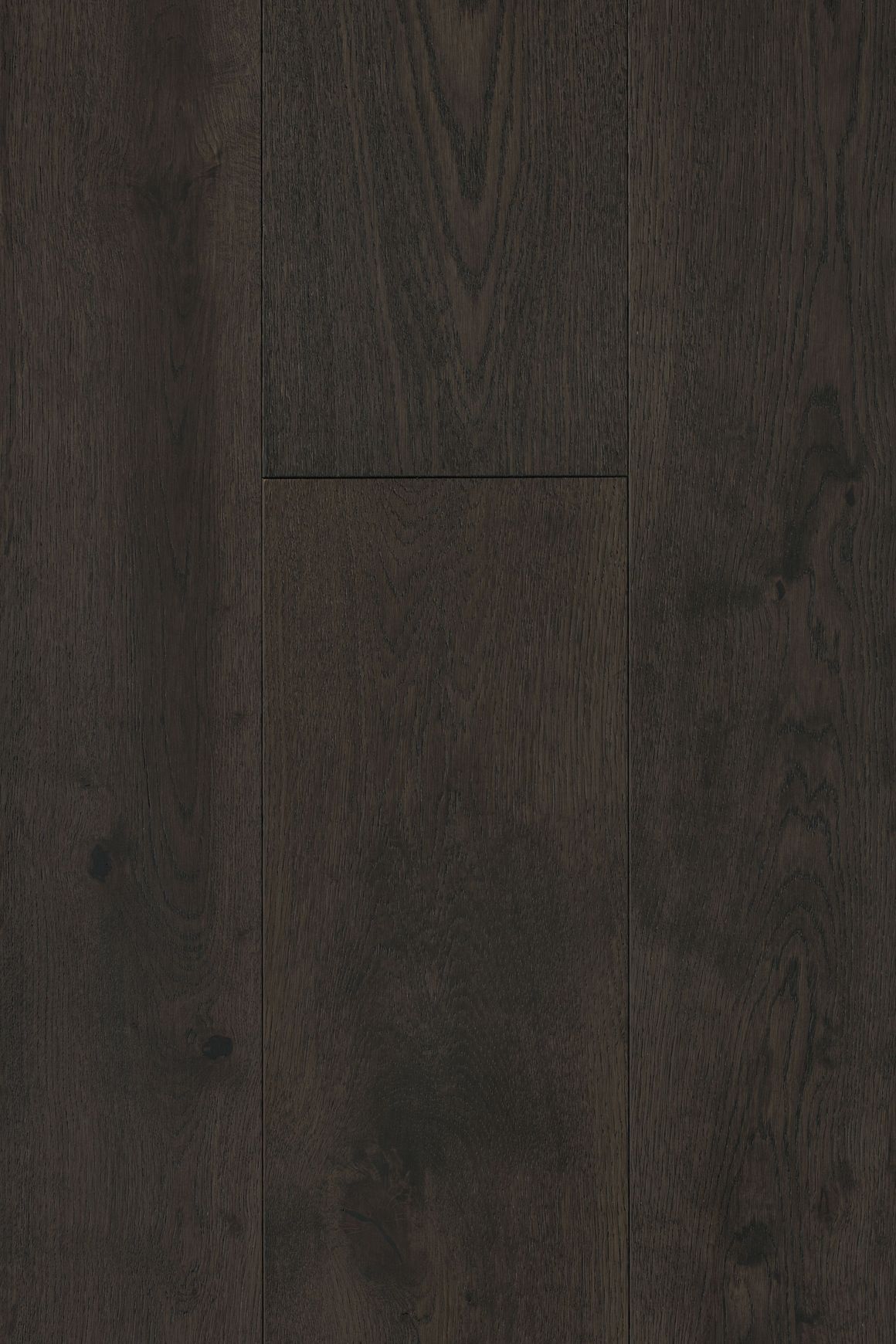 Moda Dolcedo Feature Plank Timber Flooring