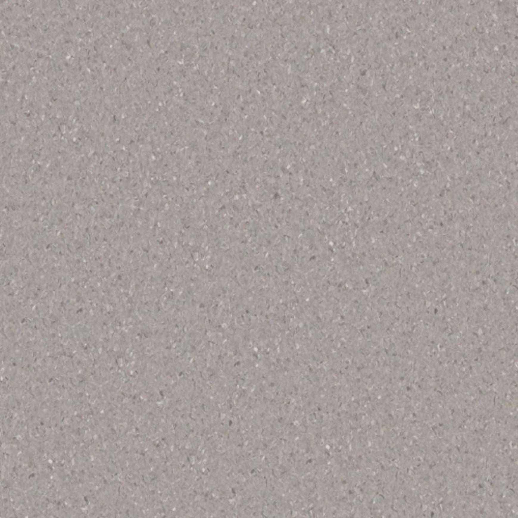 Accolade Plus | Darling Grey