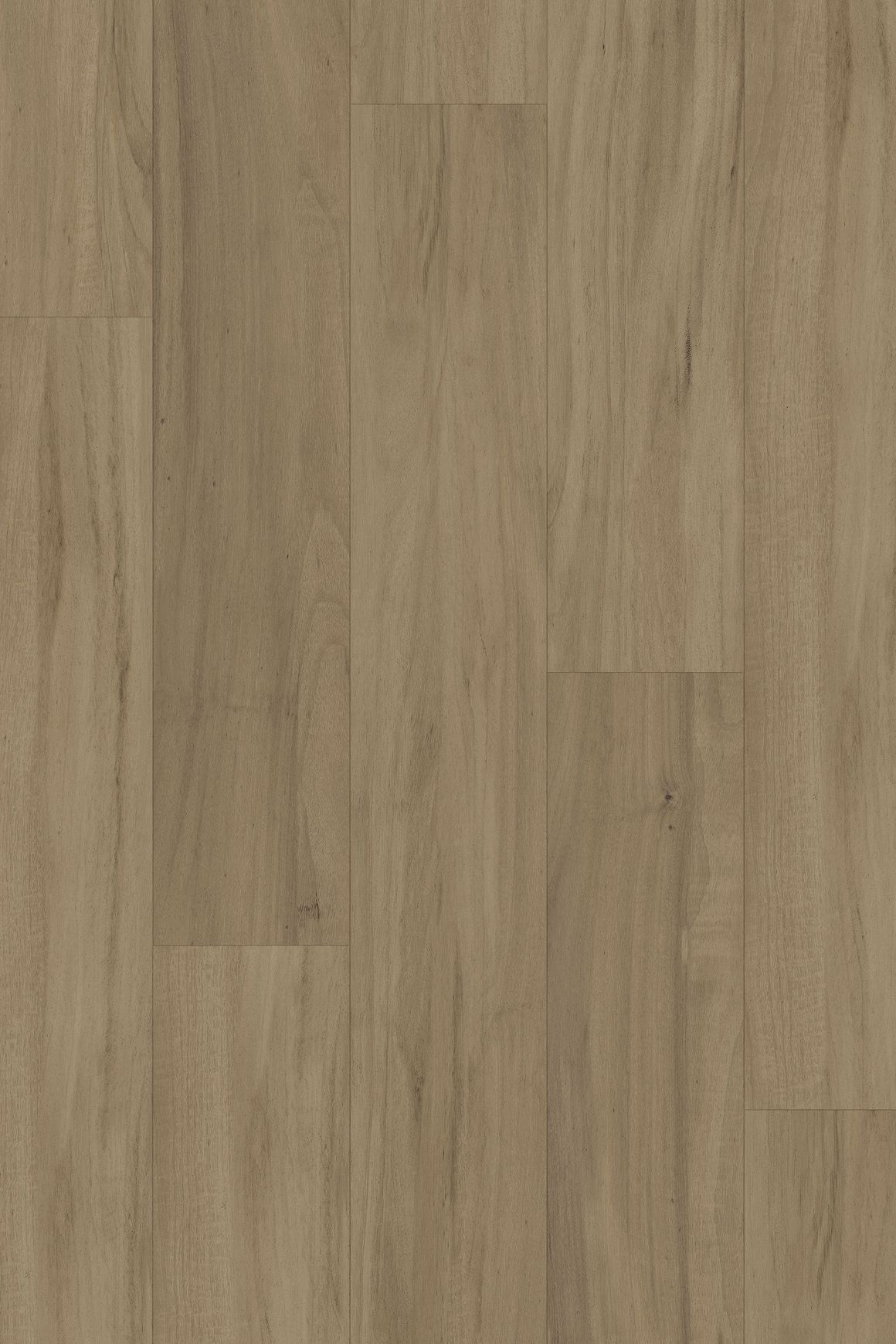 Kingswood 1.2 | Weathered Tasmanian Oak