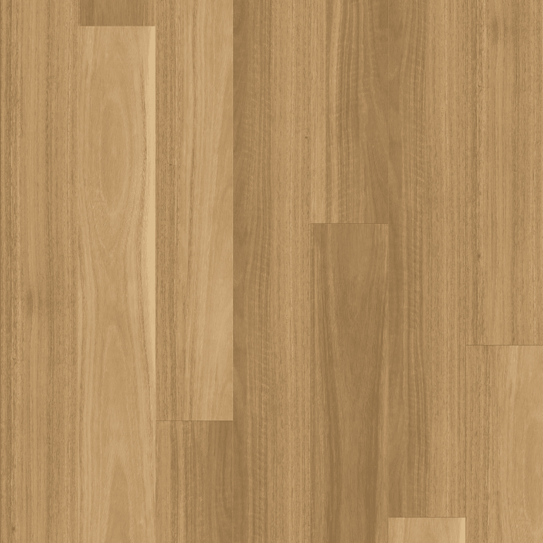 Kingswood Australis | Salted Gum