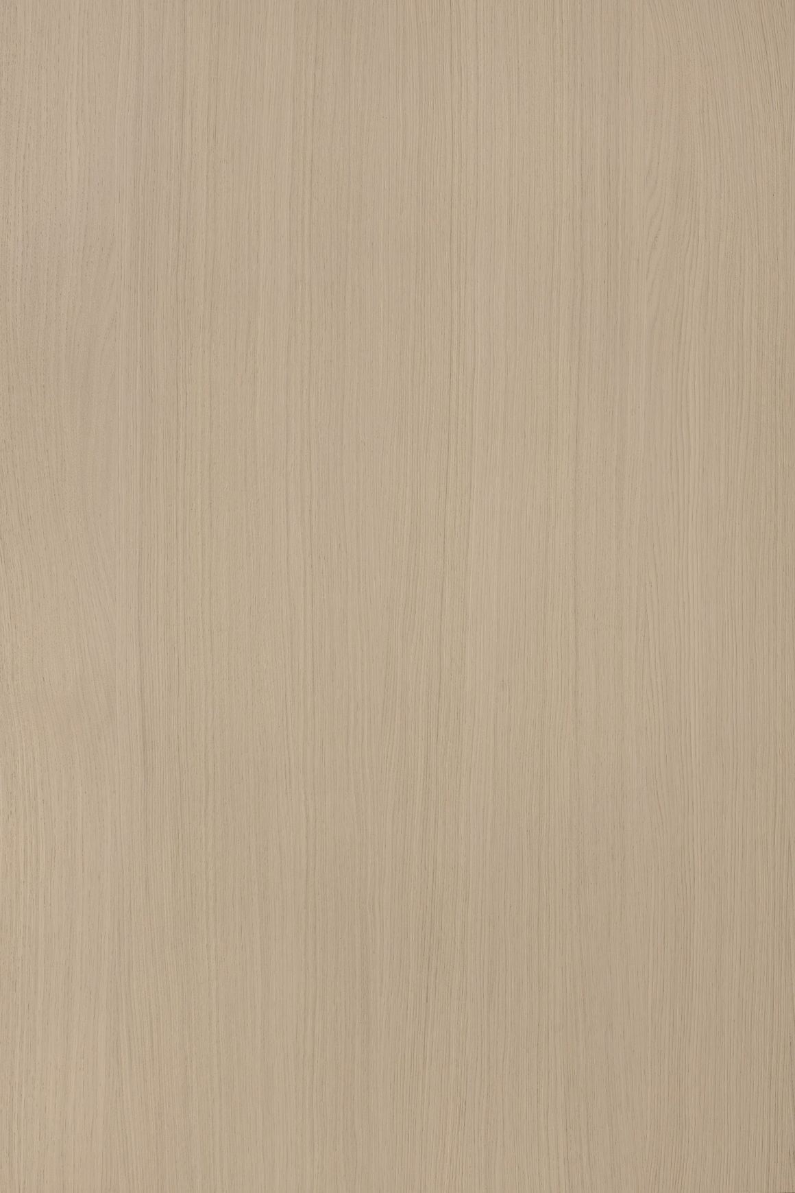 Alor Cove Oak 1F1B 2440mm Veneer Panel