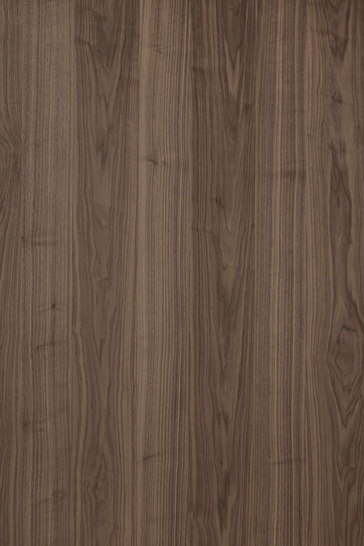 Alor Ember Walnut 1F1B 2440mm Veneer Panel