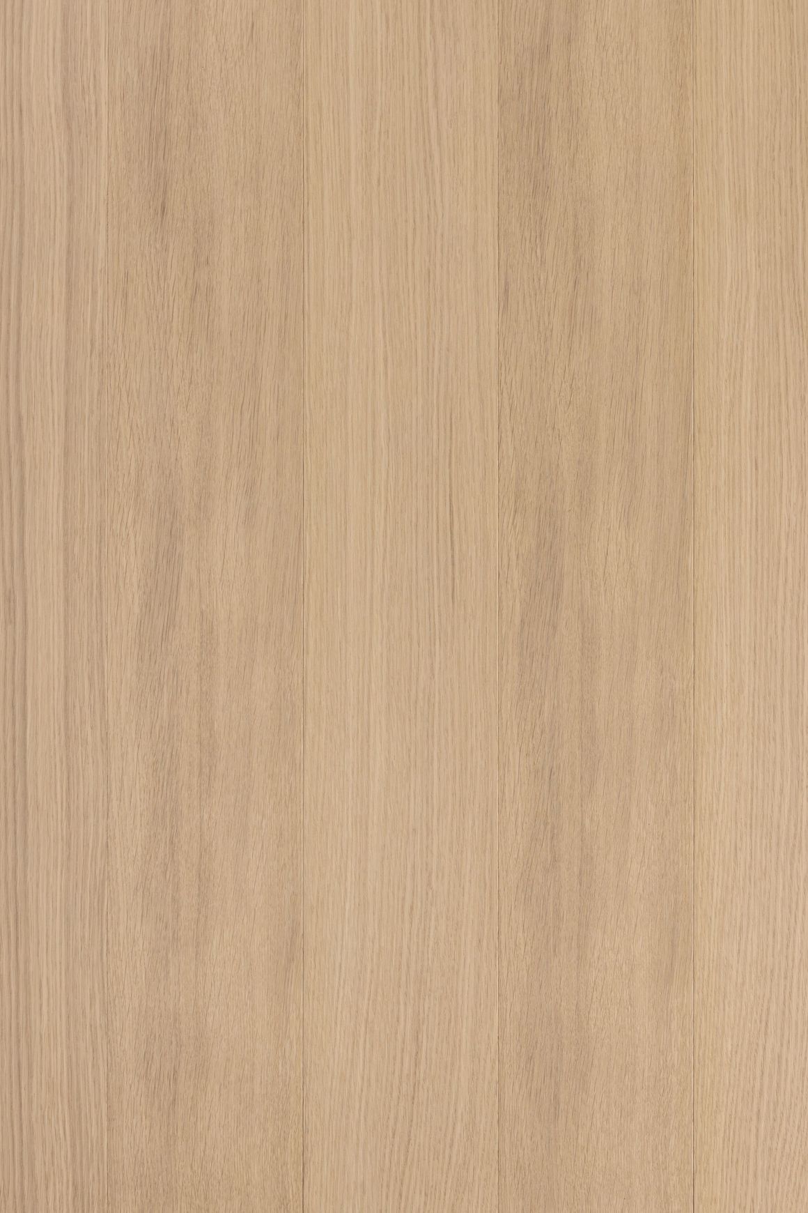 Alor Fawn Oak Walls and Ceiling Panelling