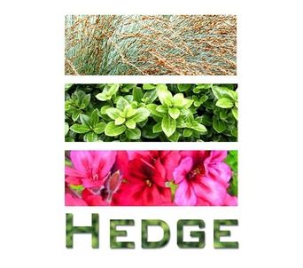 Hedge Garden Design & Nursery professional logo