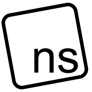 Northscape professional logo