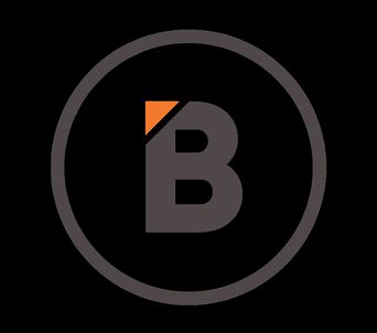 Blackbird Projects professional logo