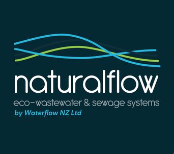 NaturalFlow professional logo