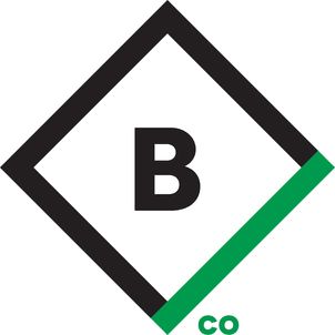 The Building Co professional logo