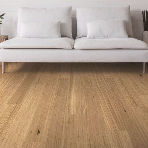 Blackbutt | HM Walk Engineered Hardwood Flooring