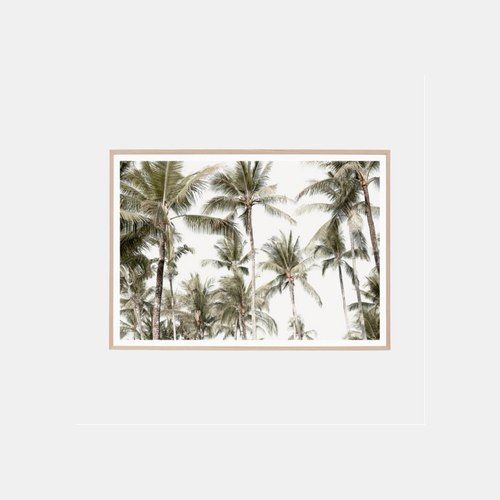 Framed Print - Palm Daydream Raw