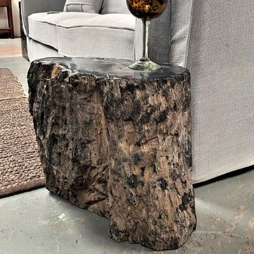 Petrified Wood Occasional Side Table Rustic