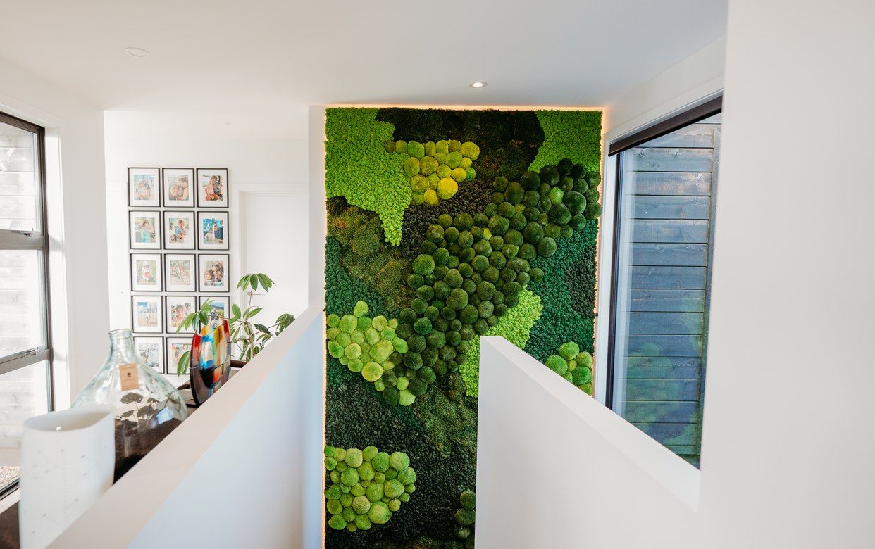 A view of the forest; moss mural at a residential property in Jack's Point, Queenstown