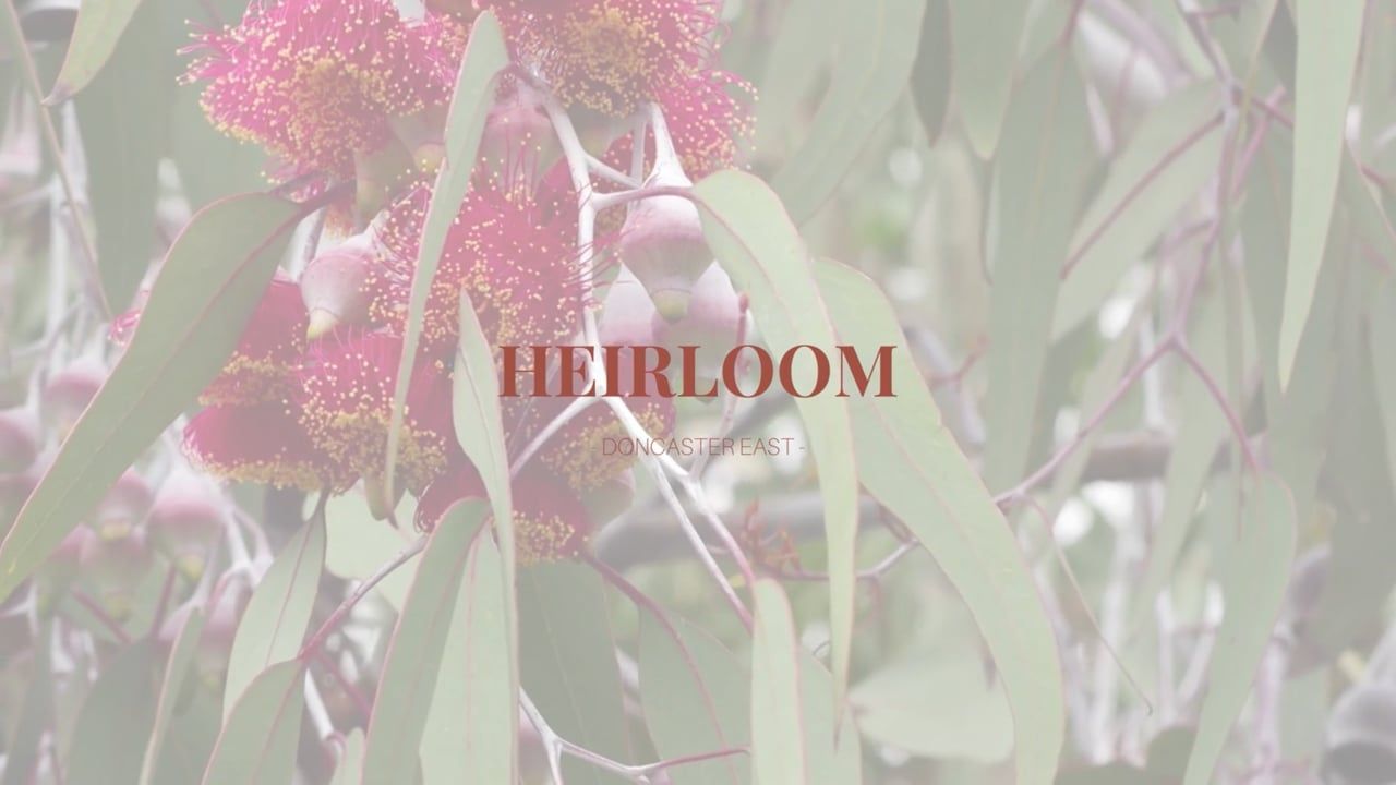 Balmain & Co | Heirloom Apartments