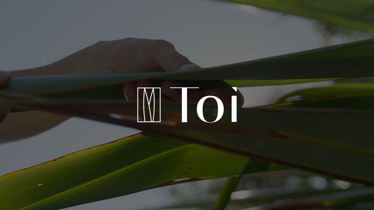 Behold! Toi video