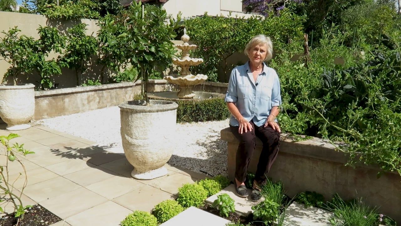 A productive garden created from an inner city courtyard