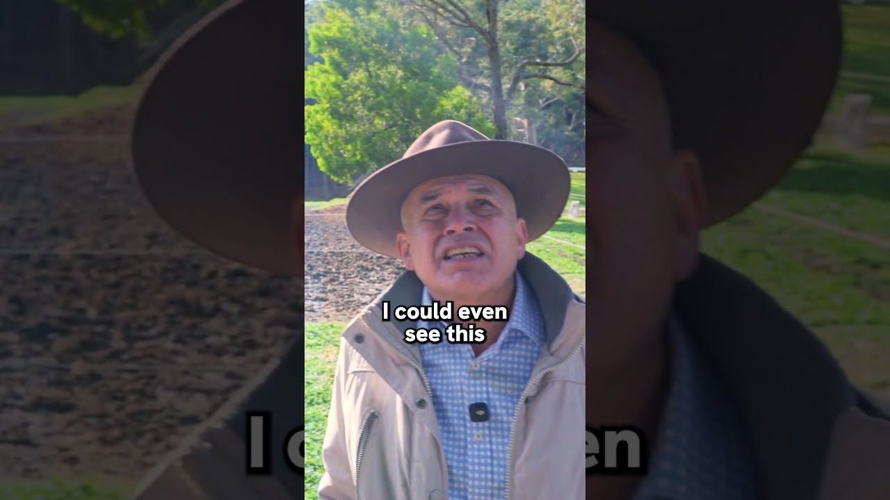 2 HERO Goodwe Horseport S Recap