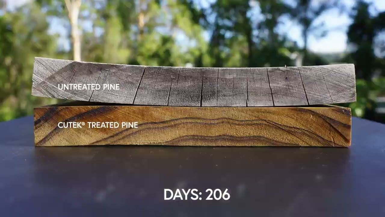 Pine Treated with CUTEK® Extreme CD50 Timelapse