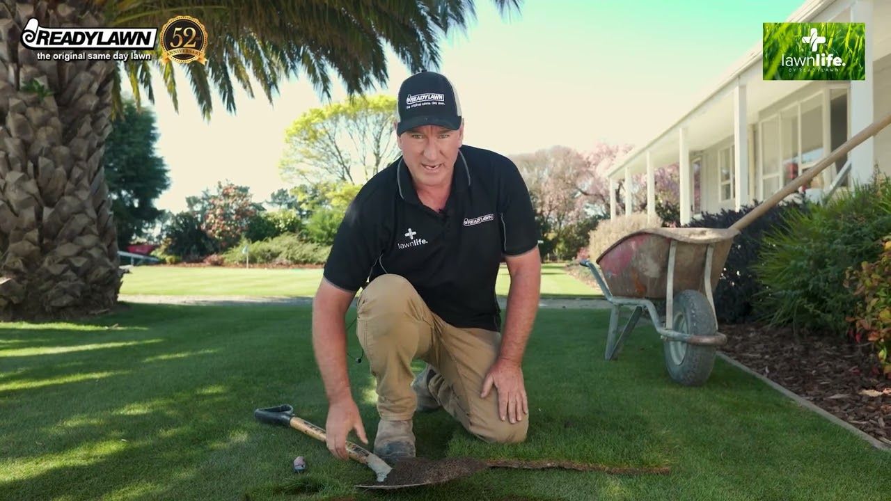How to fix a dead spot in your lawn - Readylawn NZ. The original same-day turf installation.