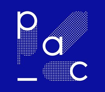 Pac Studio professional logo