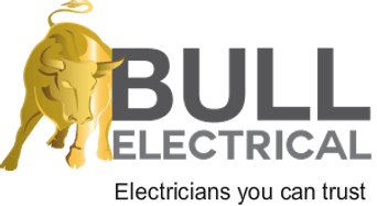 Bull Electrical professional logo