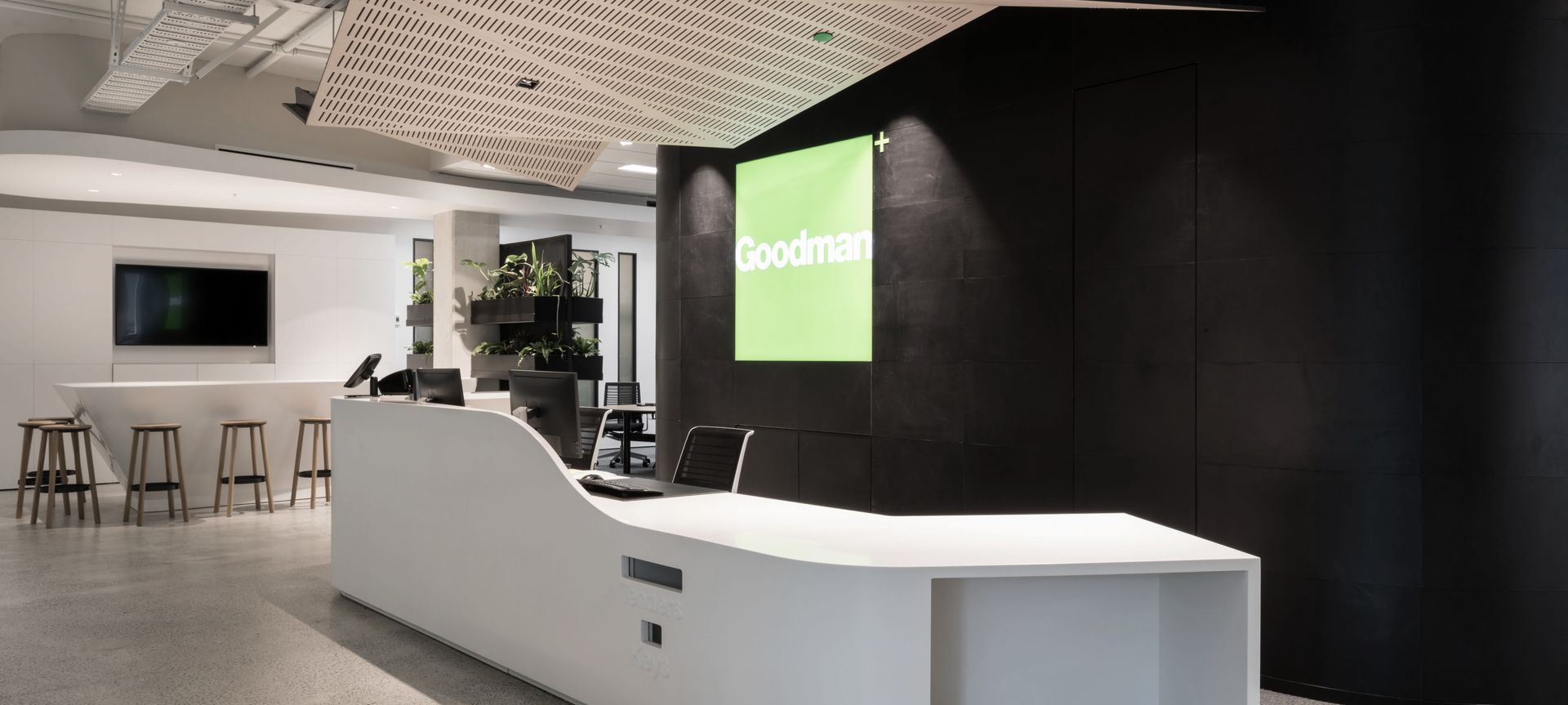 Goodman banner