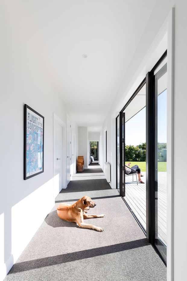 A bright, elongated interior hallway with white walls, white doors and trim, and grey carpet flooring. Full-height black-framed folding or sliding glass doors line one side, opening to a timber deck and a sunlit lawn beyond. A framed artwork hangs on the wall, with a dog resting on the carpet and a small timber chair visible at the far end. The space has a clean, contemporary feel with strong natural light and indoor-outdoor connection.