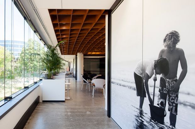 Bright contemporary interior corridor or open-plan hospitality/workspace with full-height glazing on the left, a polished concrete floor, white walls, indoor planting, and a distinctive warm timber coffered ceiling. Tables and chairs are arranged in the open area beyond, while a large black-and-white photographic wall graphic lines the right side. The space has an airy, refined gallery-like atmosphere and views to landscaped grounds outside.
