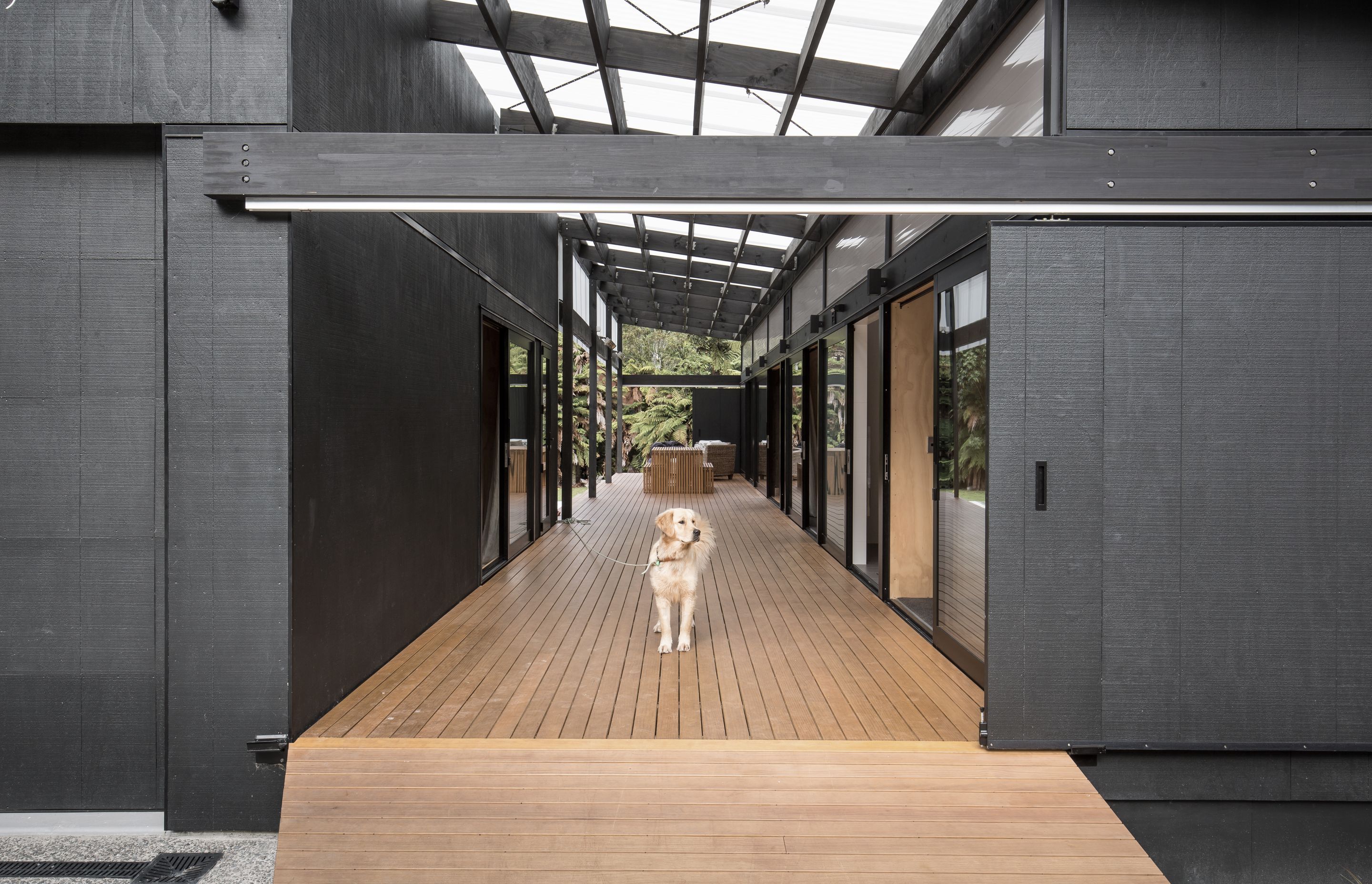 Lake Tarawera Cabin
