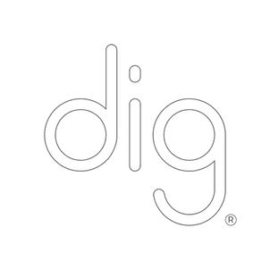 Dig Design company logo