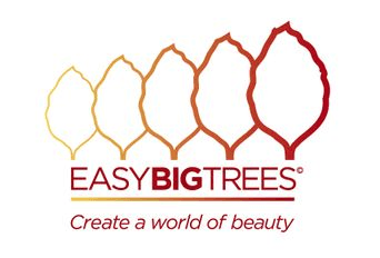 Easy Big Trees company logo