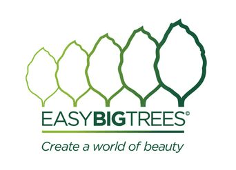 Easy Big Trees professional logo