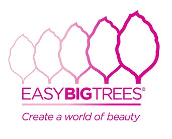 Easy Big Trees company logo