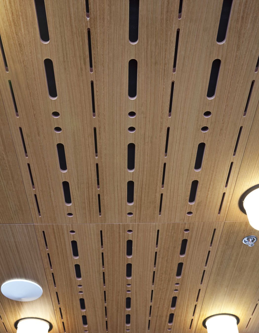 Eden Park Sports Stadium