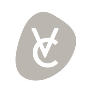 Vue Concepts company logo
