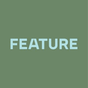 Feature Landscapes company logo