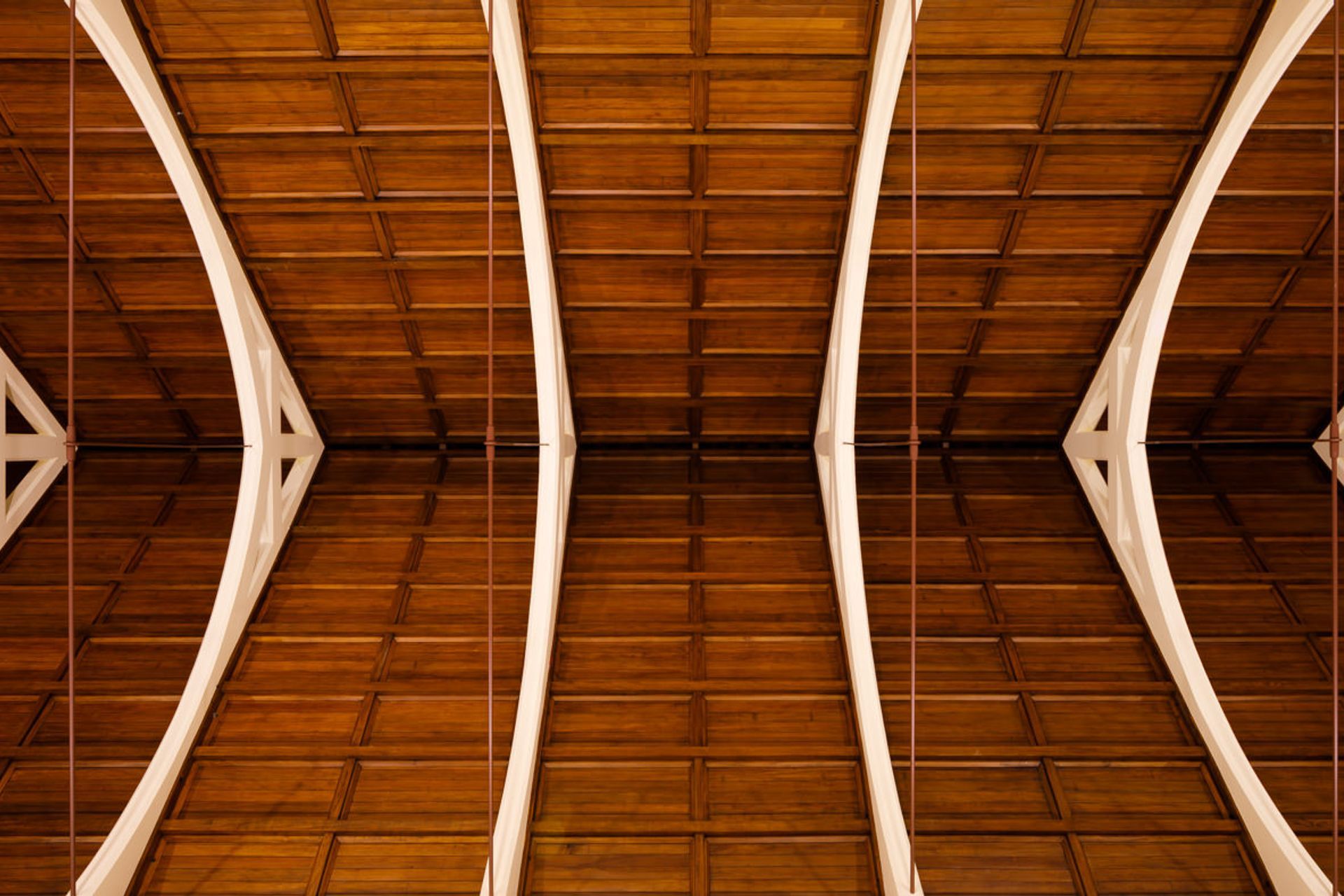 St Mary of the Angels, Wellington