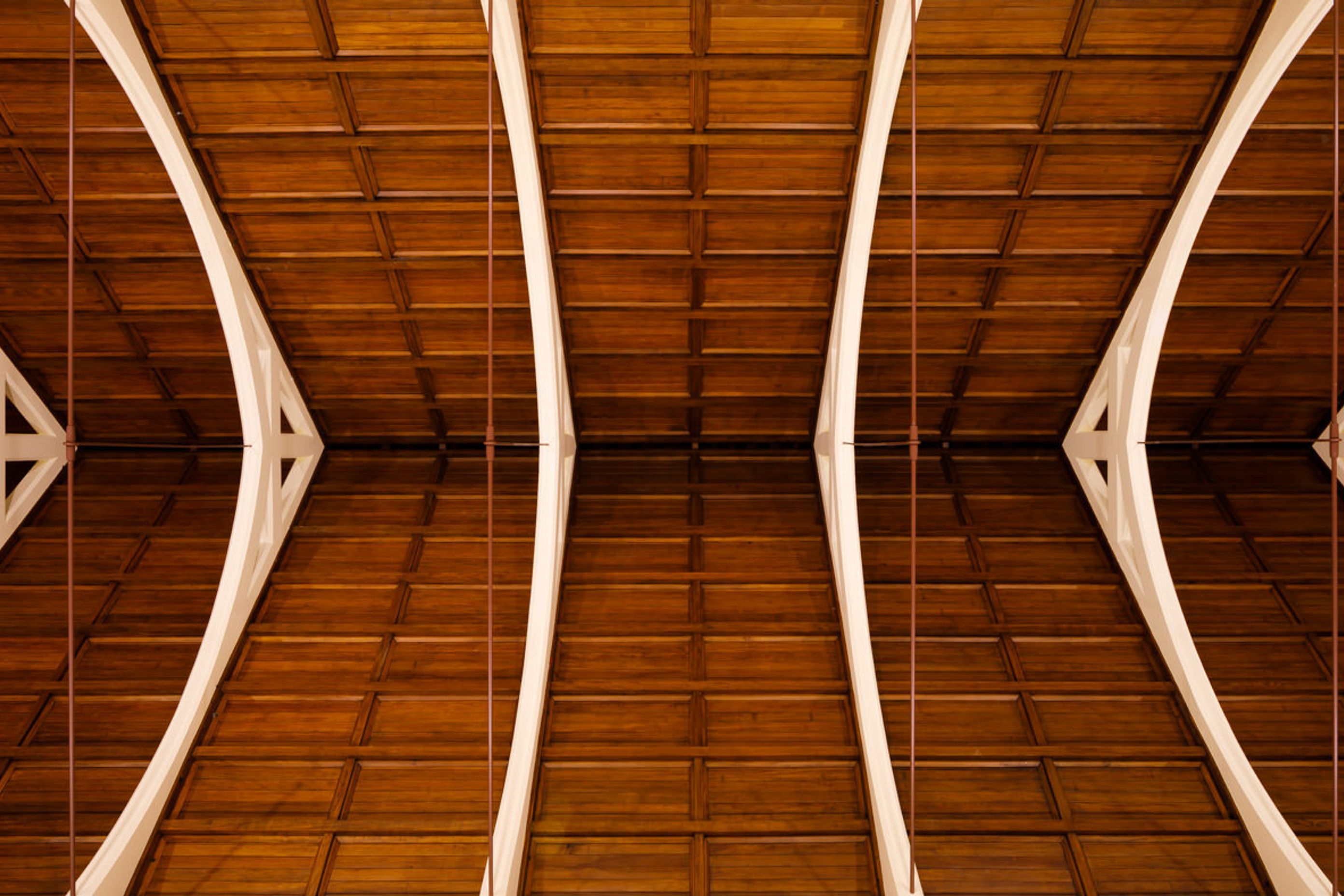 St Mary of the Angels, Wellington