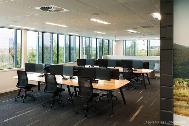 A bright open-plan commercial office with rows of wooden workstations, black ergonomic task chairs, computer monitors, and low partition screens. Full-height windows provide abundant natural light and views of greenery, while a suspended acoustic-tile ceiling, recessed lighting, and dark carpet create a practical contemporary workplace setting.