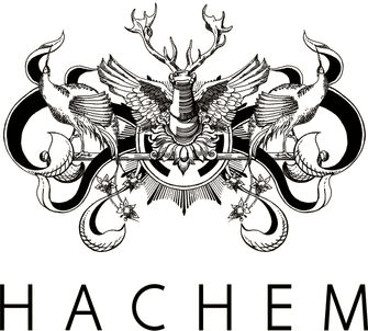 Hachem professional logo