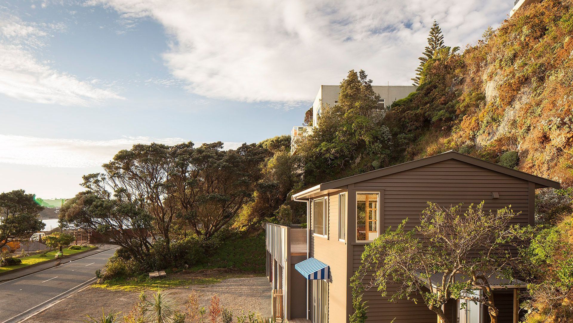 Pea House - Wellington banner