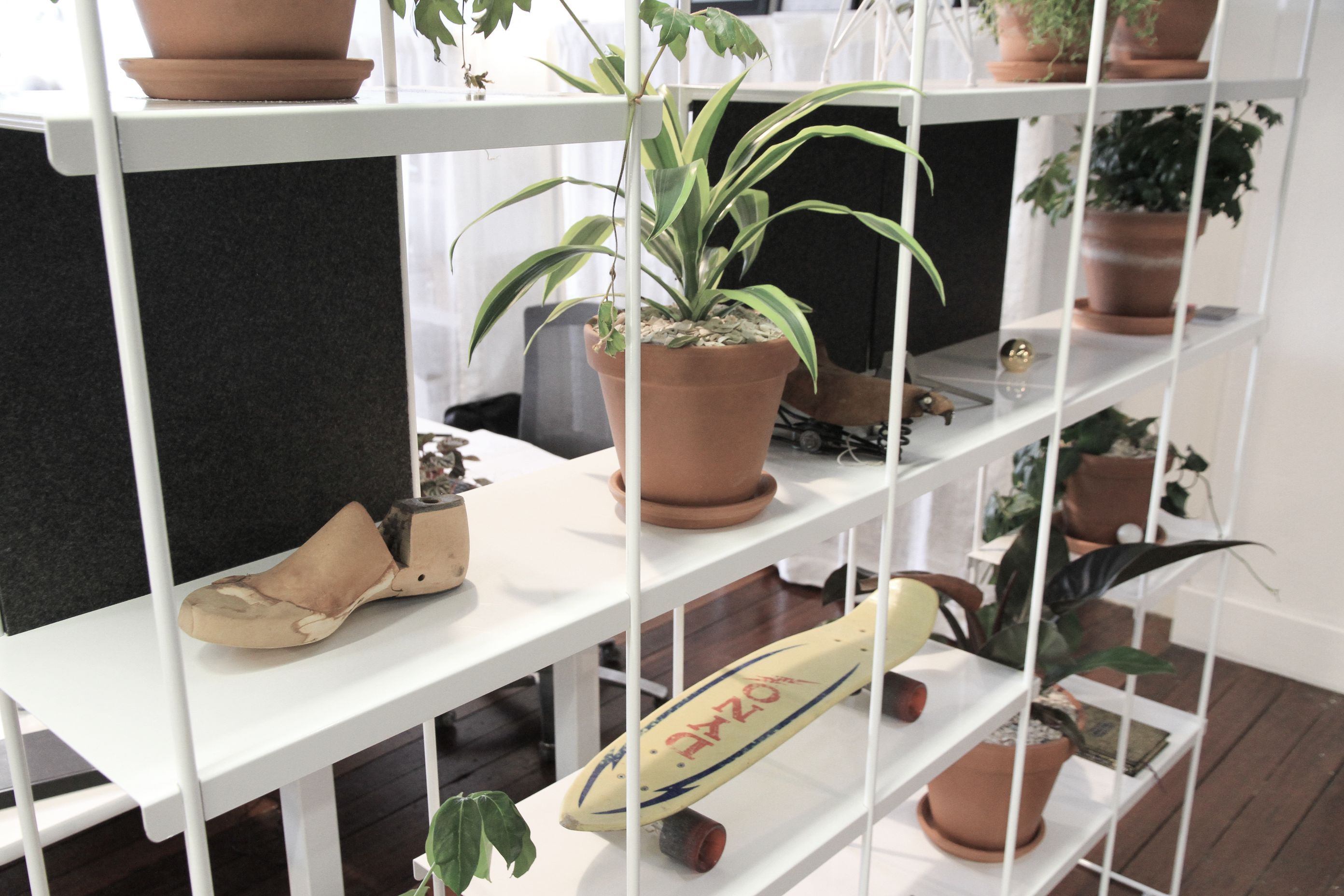 A Lively Space for Work and Play