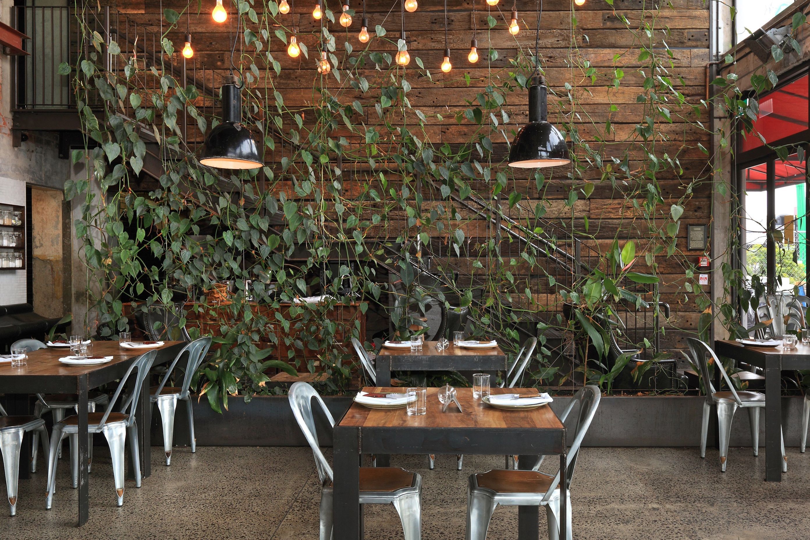 The Commons, Takapuna, Auckland