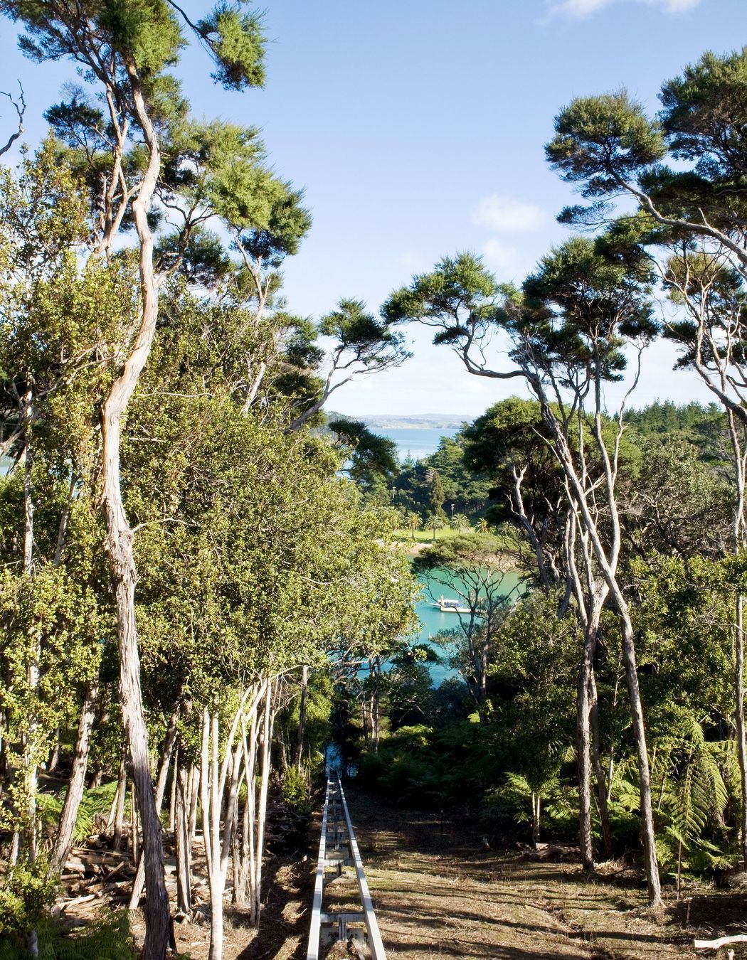 Kawau House, Lot 101