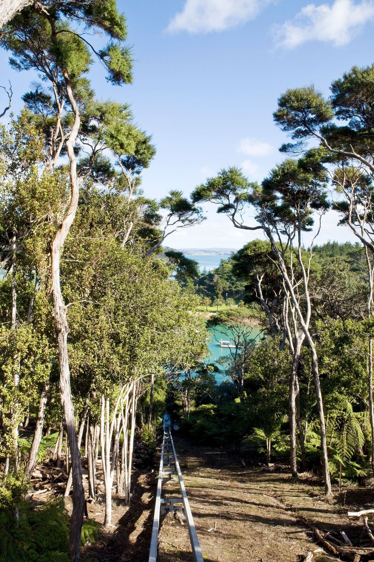 Kawau House, Lot 101